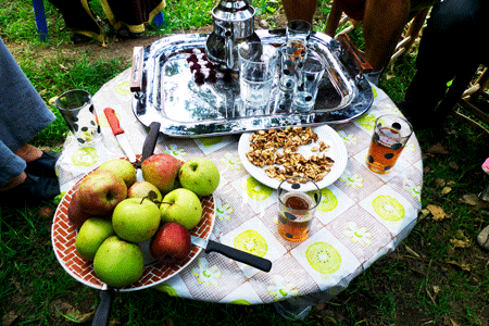 wien familienaufstellung juni