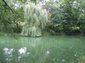 Teich Loosdorf, die Umgebung des Schlosses lädt zu Spaziergängen ein